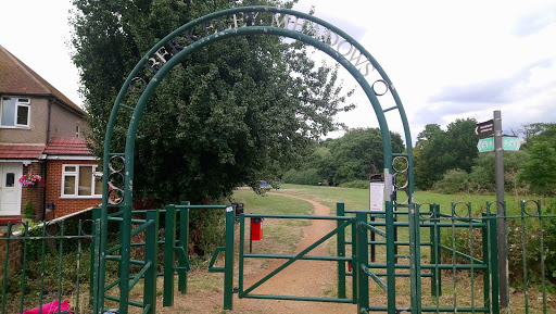 Berkeley Meadows - Visual