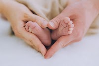 THE FAVORITE 吉田写真館