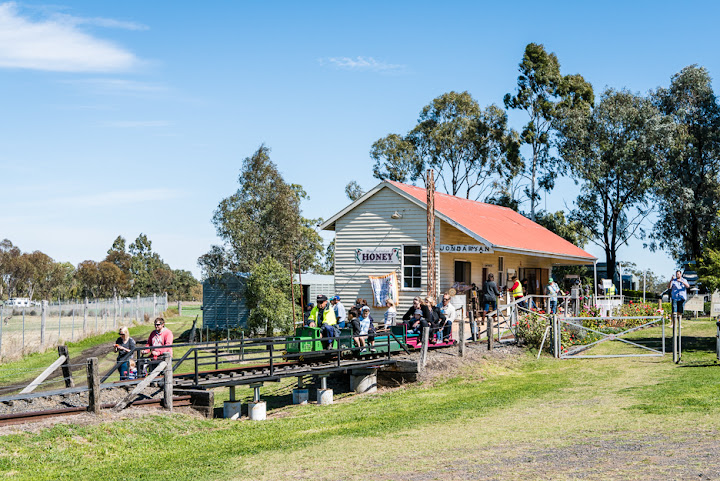 The Woolshed at Jondaryan by null
