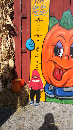 Fashion Farm Inc Gallery - United States