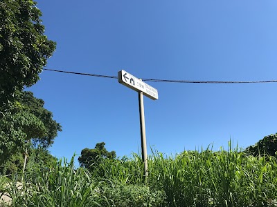 Photos of 三聖廟