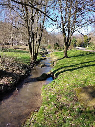Elchpark - Visual
