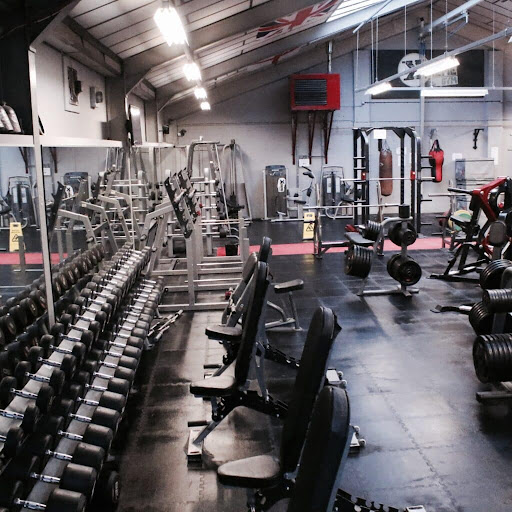 Xtreme Gyms - Thumbnail
