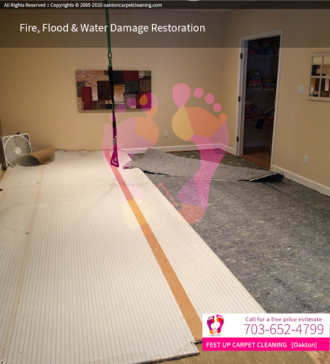 Feet Up Carpet Cleaning Oakton - Thumbnail