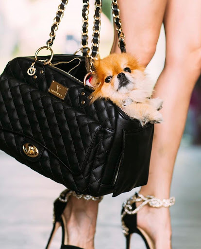 Vanderpump Pets - Visual