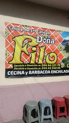 CECINA DOÑA FILO MATRIZ - Thumbnail