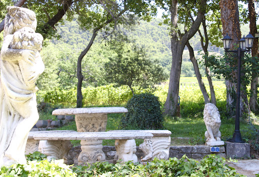 Photo de LES GRANDS PRÉS DES BARONNIES - La Muse :Location gite avec piscine,grande capacité,face aux Dentelles de Montmirail,Vaucluse à Sablet (84110)