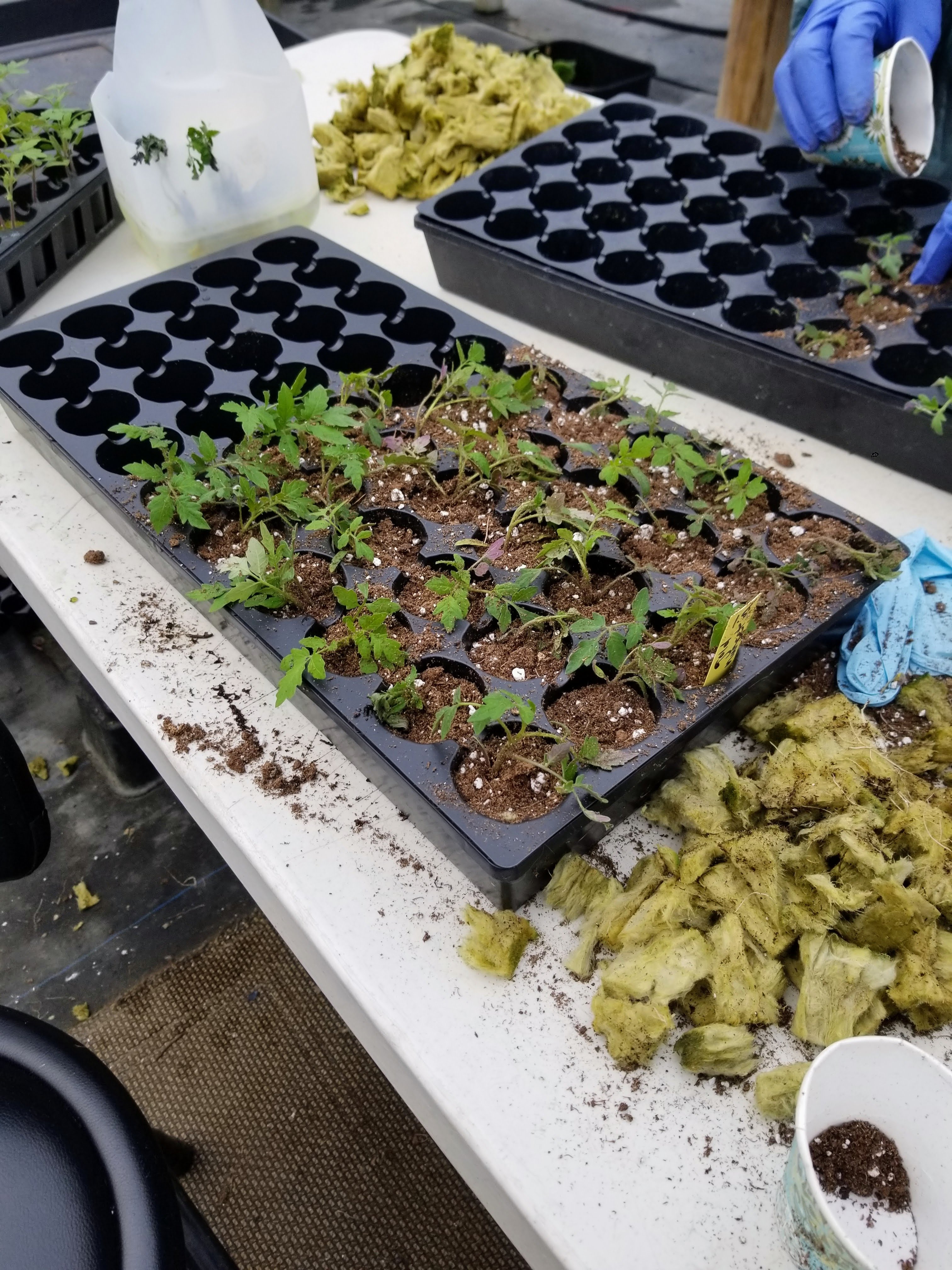 Sweetwater Urban Farms