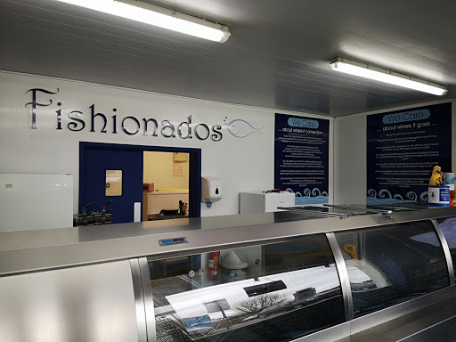 Fishionados - Visual