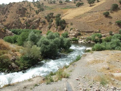 Photos of پالنگان