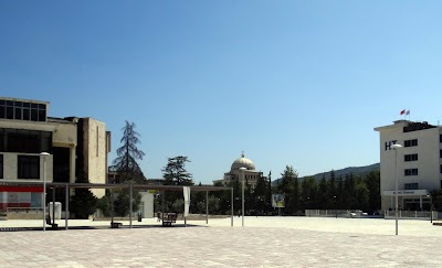 Albanian University