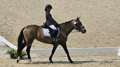 Rolex Stadium - Visual