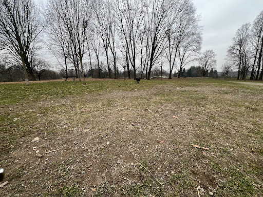 Dog Area - Pellerina - Thumbnail