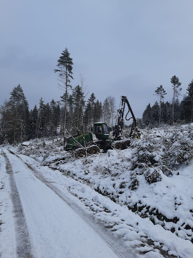 Forstdienst Schäfer - Visual
