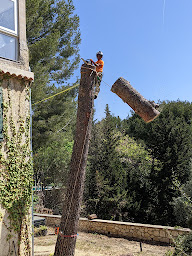 Photo n°6 de JBE Elagage à Cassis (Service d'élagage)