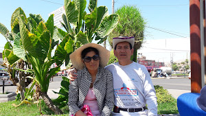 PANIFICADORA VASULD E.I.R.L 1