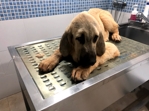 Clínica Veterinaria Mascotas