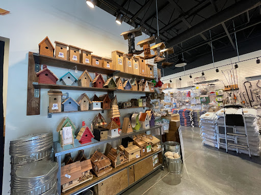 Backyard Bird Shop - Visual