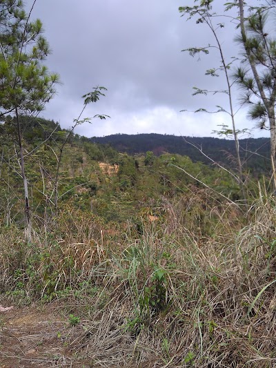 Photos of PPKH KECAMATAN PULE