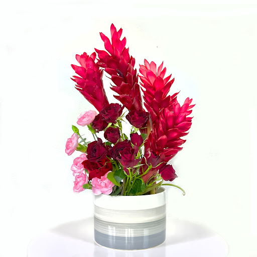 floraspire - Visual