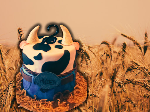 The Painted Cake Experience - Thumbnail