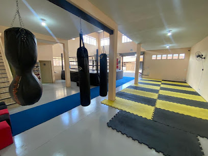 Randlemans Combat Team Unidade 2