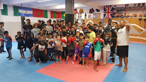 Urban Sport Boxing Logo