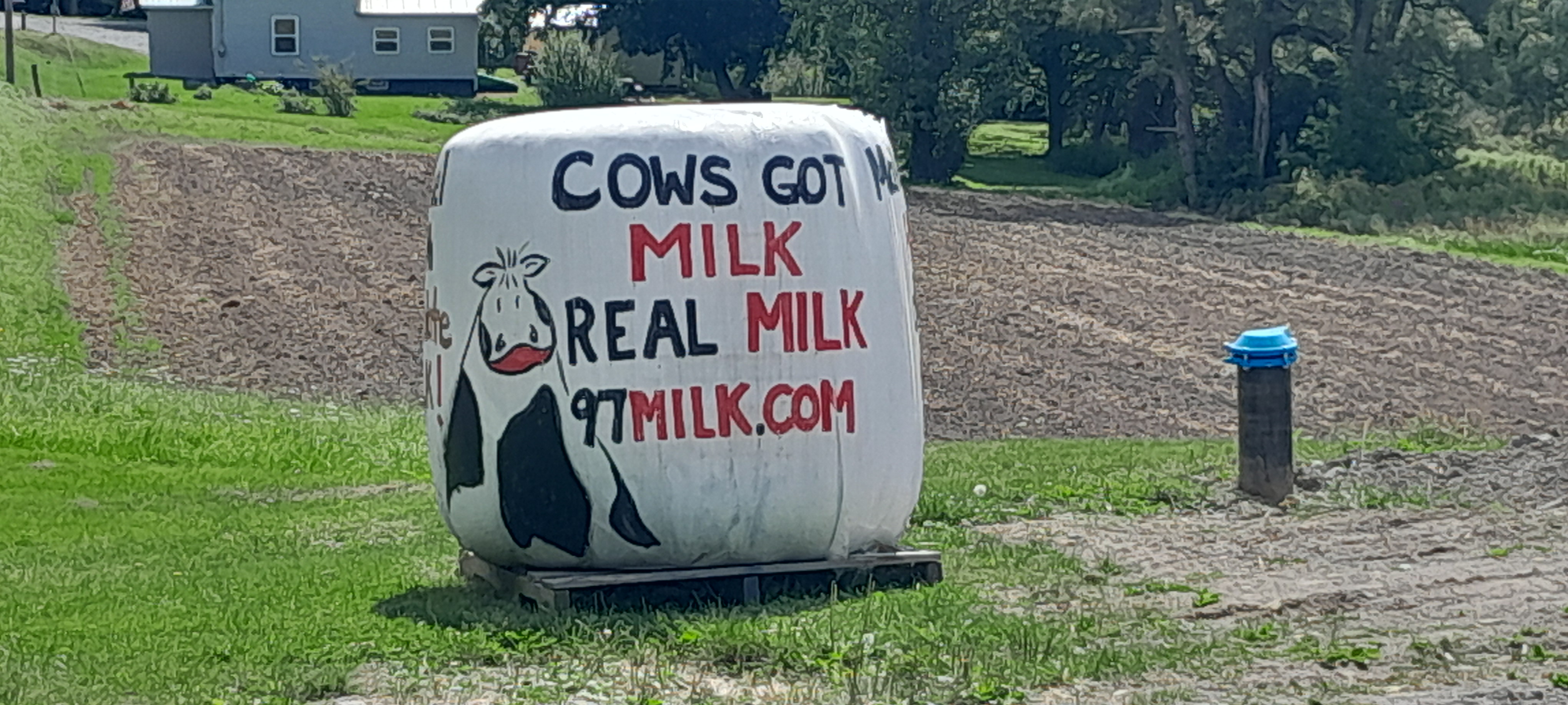 Cold Spring Farm