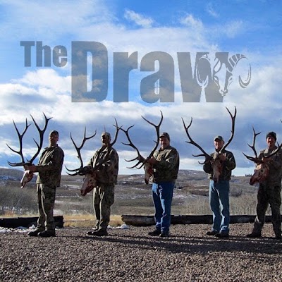 The Draw llc