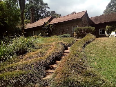 Photos of Riara Tea Tours