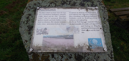 Panoramablick auf Kaisersesch - Thumbnail