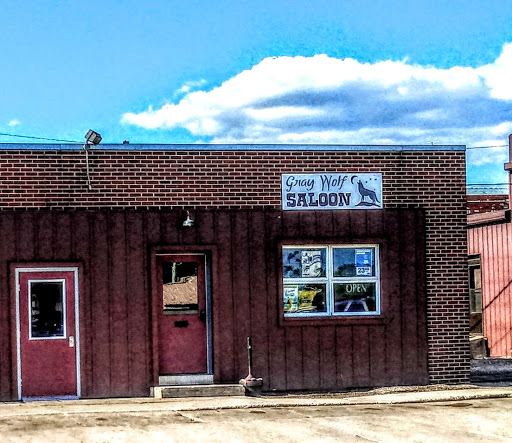 Gray Wolf Saloon - Visual
