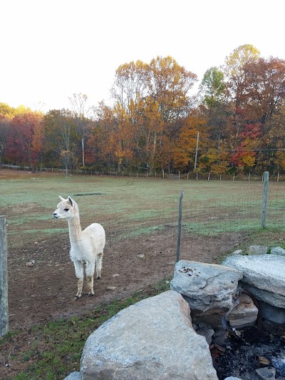 Udderly Woolly Acres