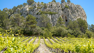 Photo n°45 de Cave de Gruissan à Gruissan (Vignoble)