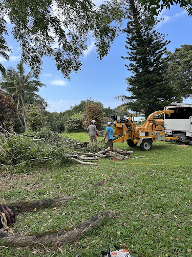 Kokua Tree Care