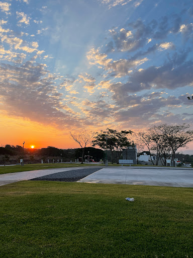 Frío Garden - Visual