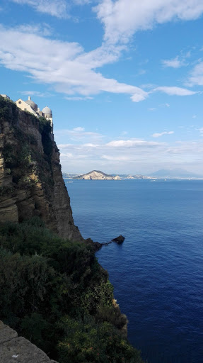 Procida Reserve - Visual