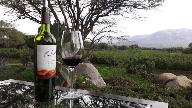 Bodega Colomé