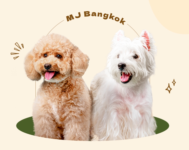 MJ Bangkok Co., Ltd