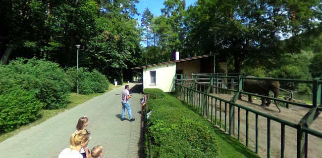 https://zoo.gdansk.pl/