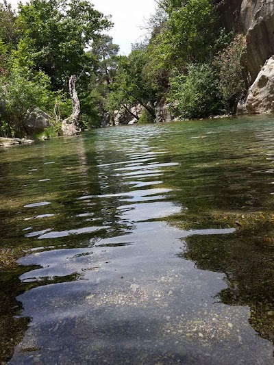 Photos of Afyon Ağız Ve Diş Sağlığı Merkezi