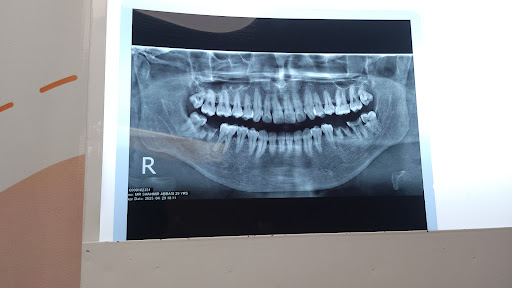 Gallery image 3