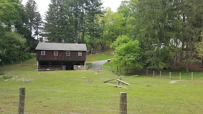 Photos of Camp Andrews