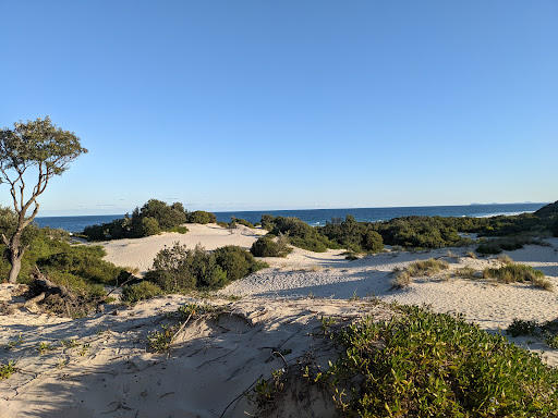 Treachery Camp Seal Rocks - Thumbnail