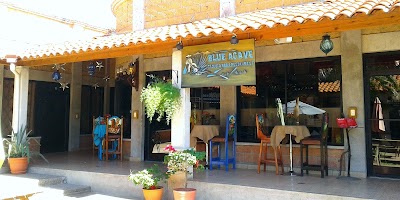 Photos of Agave Azul