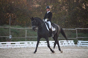 Photo n°5 de Écurie de la Cour - Centre équestre Poitiers // Dienné à Dienné (Club d'équitation)