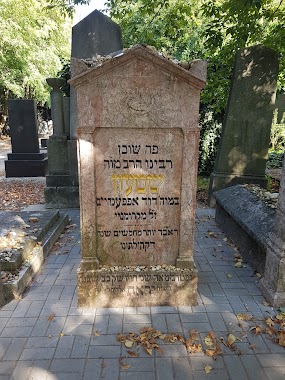 Rabbi Oppenheimer Kozma utca zsidó temető, Author: אהרן ברנד