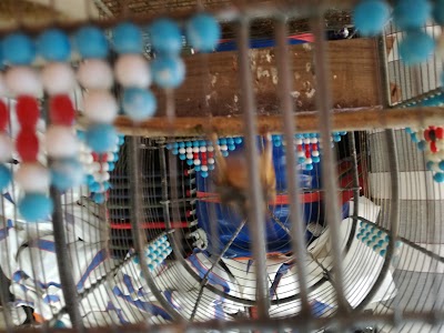 Photos of Raspino Cafe
