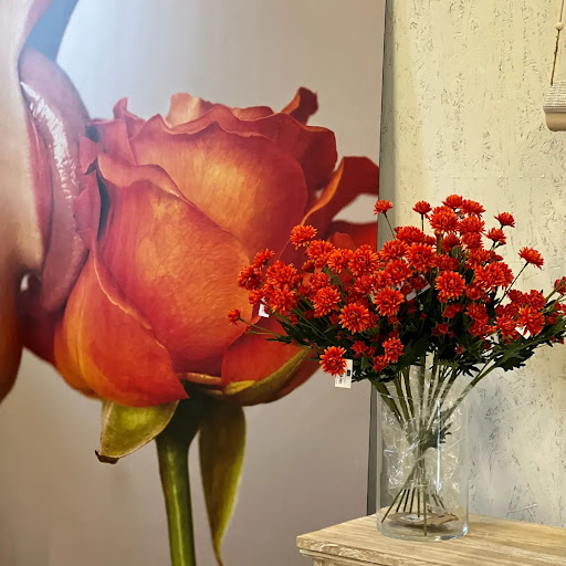 Astroflor SA - Visual