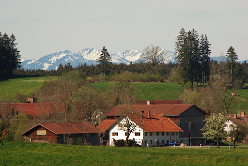 Baumsicht - Visual